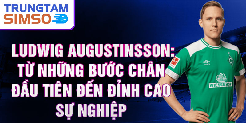 Ludwig augustinsson: từ những bước chân đầu tiên đến đỉnh cao sự nghiệp