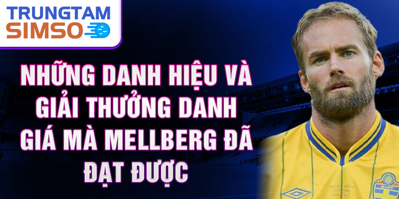 Những danh hiệu và giải thưởng danh giá mà Mellberg đã đạt được