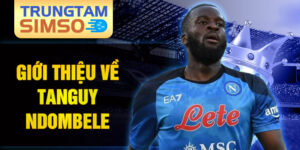 Giới thiệu về tanguy ndombele