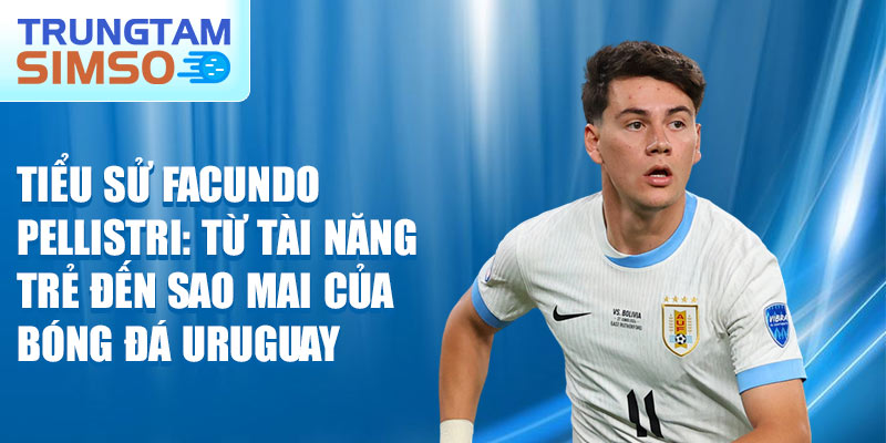 Tiểu sử facundo pellistri: từ tài năng trẻ đến sao mai của bóng đá uruguay